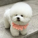 별빛약국 - 동구 방어진순환도로 1137 | 별빛약국