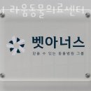 24시 라움동물의료센터 이미지