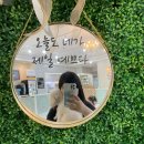 펫돌봄애견카페 이미지