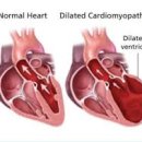 바른동물병원 이미지