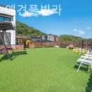 베일리애견풀빌라펜션 이미지