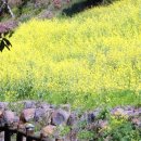 색달동-8 이미지