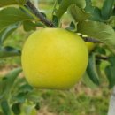 송학농원 이미지