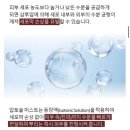 압토솔 | 압토솔 유산균미스트 사용 후기