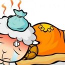 세원연합의원 네이버블로그