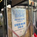 대진항막회 이미지