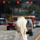 무더위 냉면 이미지
