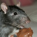 동서림한의원 이미지