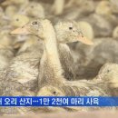 자정농장 이미지