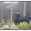 선봉농장 이미지