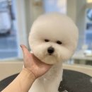 멍개구름 이미지