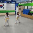 국민태권도장(미룡관) 이미지