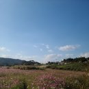 고령식당 이미지