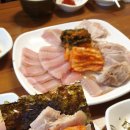 홍탁나라 이미지