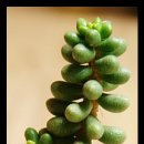 춤의정원 이미지