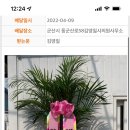 김영일 사무소 이미지