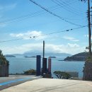 비고리조트 19 이미지