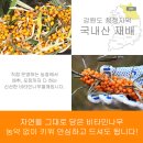 자연을담은생약 이미지