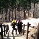 멩글