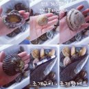 365수산 네이버블로그