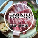 금성 | 청주터미널맛집 가경동회식 추천 현대커넥트 근처 금성식당 후기
