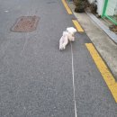 자미온홍성점 | 친오빠 결혼식에서 여동생이 하는 일 (feat. 홍성 리첸시아 혼주 리얼후기) (24년 12월중순 결혼식)