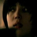평화렉카