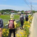 숲정경로당 이미지