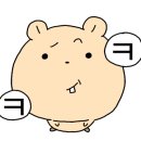 레드버튼 용인보정점 이미지