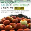 라온농장 Daum카페