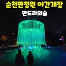 판도라의 숲 | 순천만정원 빛축제 판도라의숲(재방문 후기)