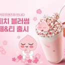 블러썸커피