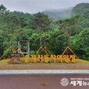 월악산국립공원 송계자동차야영장 이미지