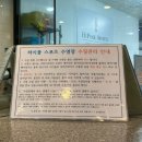 아이피아 롯데몰 은평점 | 하이풀 스포츠 구파발역 9층 소그룹(1:6) 수업 체험 솔직 후기_ 가는길, 자유수영, 환불, 재등록기간