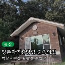 세븐일레븐대전봉산원룸점 | [논산 양촌자연휴양림] 숲속의 집 박달나무집 예약 수영장 황톳길