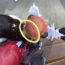 쫑의전쟁 | 20260110 부산 코믹월드 토요일 후기(feat.체인소맨 대팀코)⚔️😈