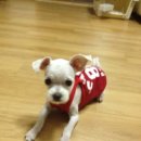 봄내동물병원 이미지