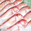 용마수산 이미지