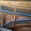 르네상스음악학원 이미지