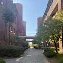 시흥버스터미널 | 행복 미쳤었던 가을 캠핑 후기