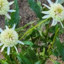 해님농장 이미지