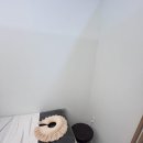 원호암 5길 이미지