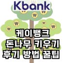케이뱅크 돈나무 키우기, 정말 돈이 열릴까? (방법, 후기, 꿀팁 정리)