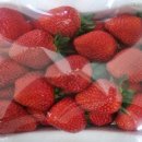 과일맛있고싼집 - 강진군 탐진로 67 | 과일맛있고싼집