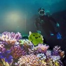 국립해양박물관 이미지