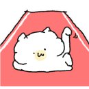 하이네일래쉬 이미지