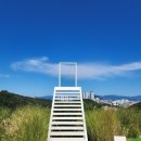 춘천산닭 산속에닭갈비 이미지