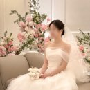 29170-4-A-09 | 웨딩로그 09.드레스투어 르블랑 / 모리엠포티 준비물, 솔직후기