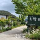 생태농원소향 이미지