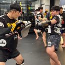 위즈덤 GYM 이미지